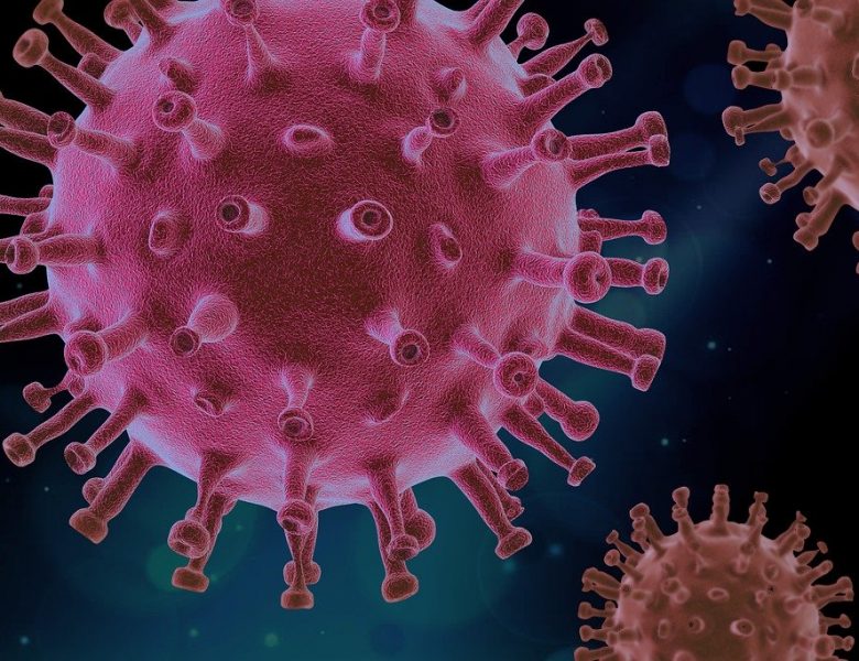 Le Corona Virus, une guerre sanitaire qui fait des ravages dans le monde.