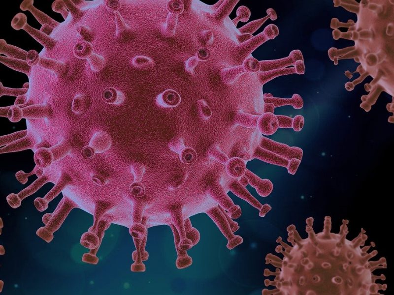 Le Corona Virus, une guerre sanitaire qui fait des ravages dans le monde.