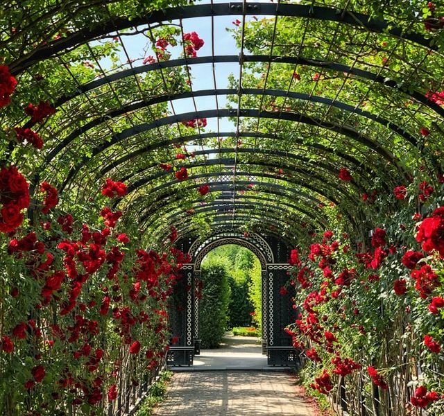 Pourquoi ne pas faire de son jardin un haut lieu d’art ?