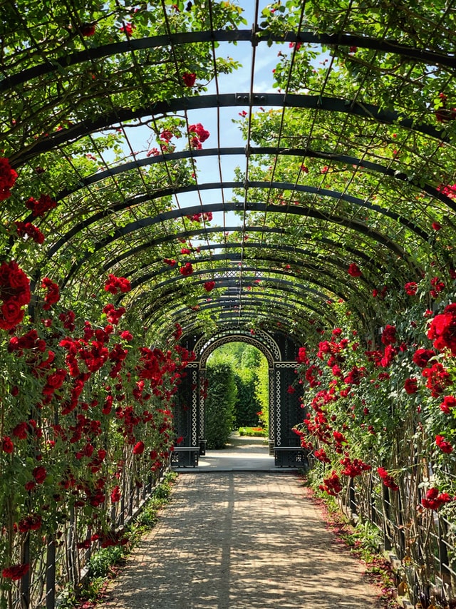 Lire la suite à propos de l’article Pourquoi ne pas faire de son jardin un haut lieu d’art ?